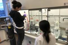 Kate & Min, Organic Synthesis Experiment