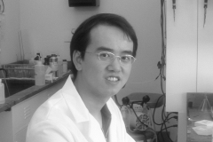 Yufei Tu