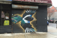 storefront